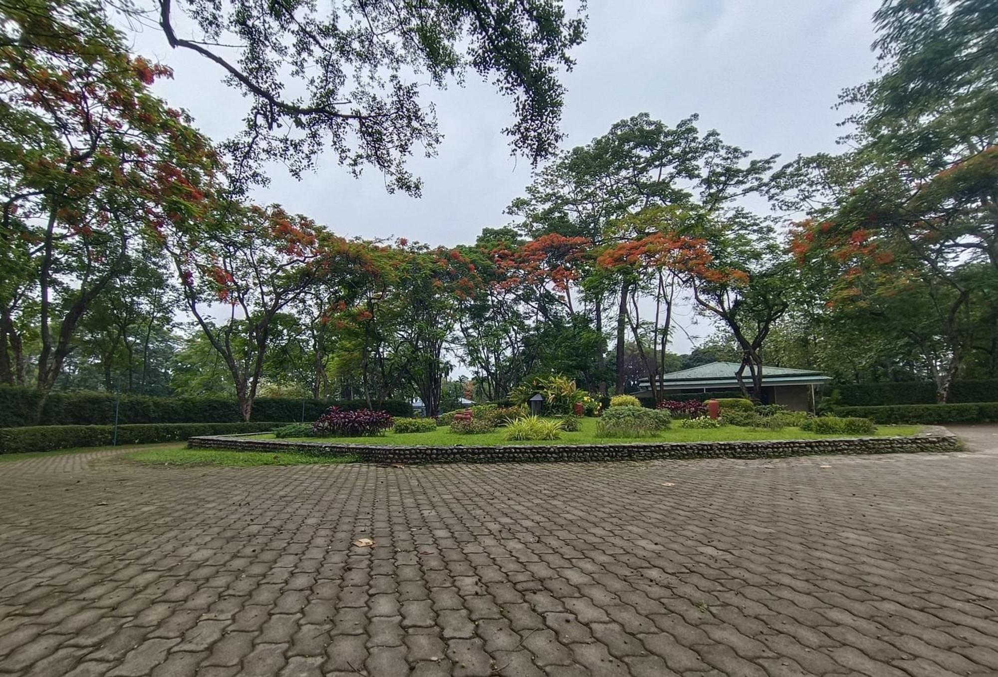 Sinclairs Retreat Dooars, Chalsa Hotel Ngoại thất bức ảnh