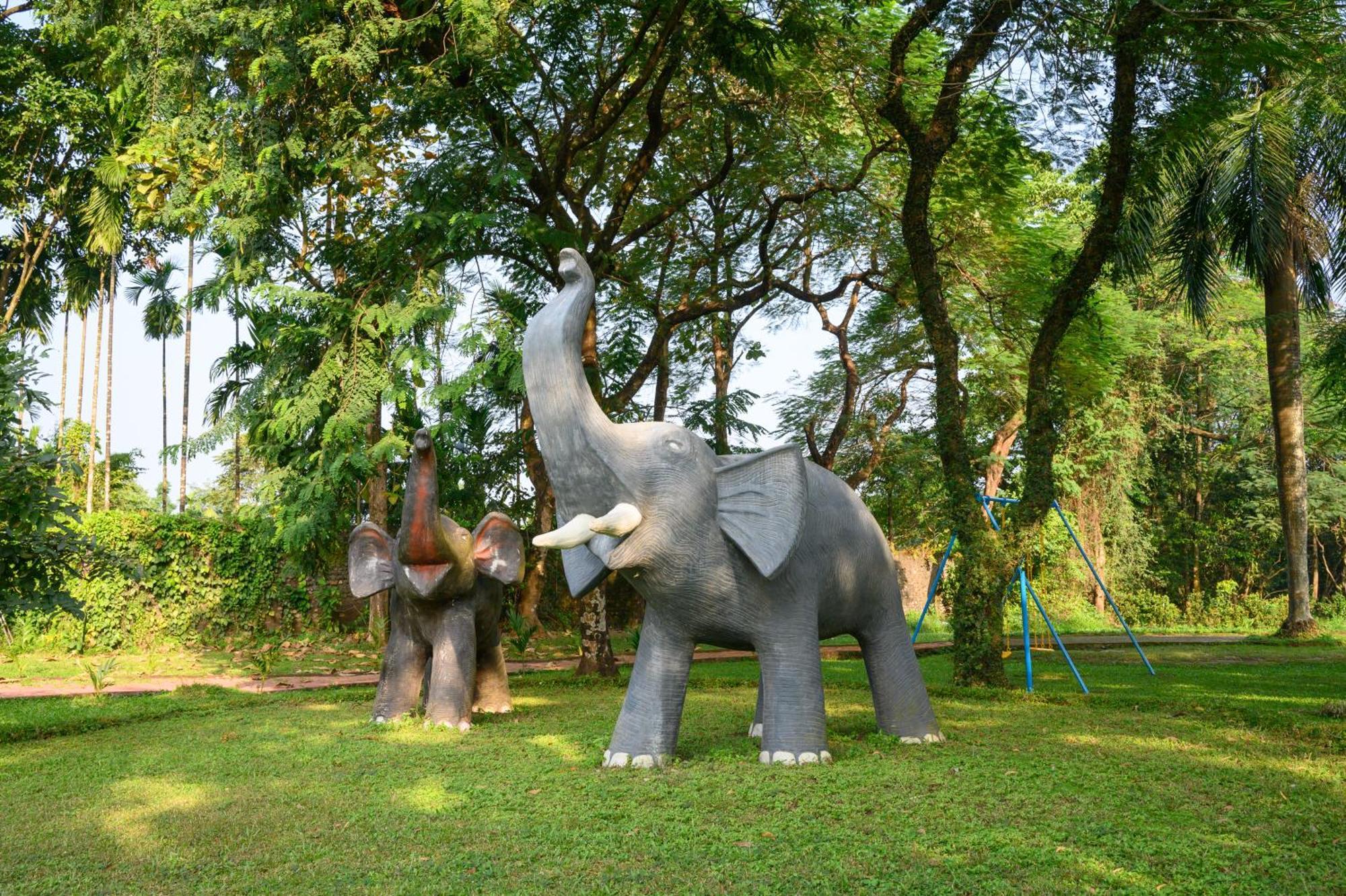 Sinclairs Retreat Dooars, Chalsa Hotel Ngoại thất bức ảnh