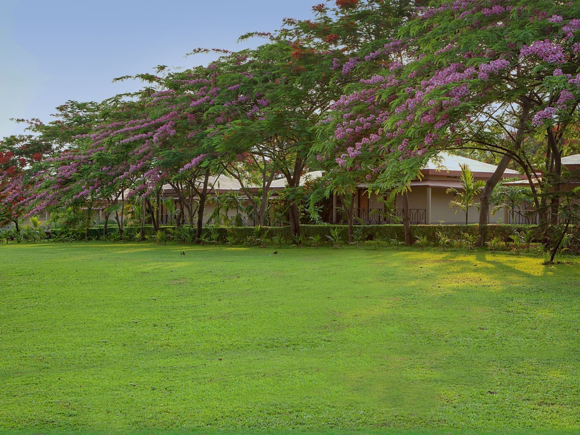 Sinclairs Retreat Dooars, Chalsa Hotel Ngoại thất bức ảnh