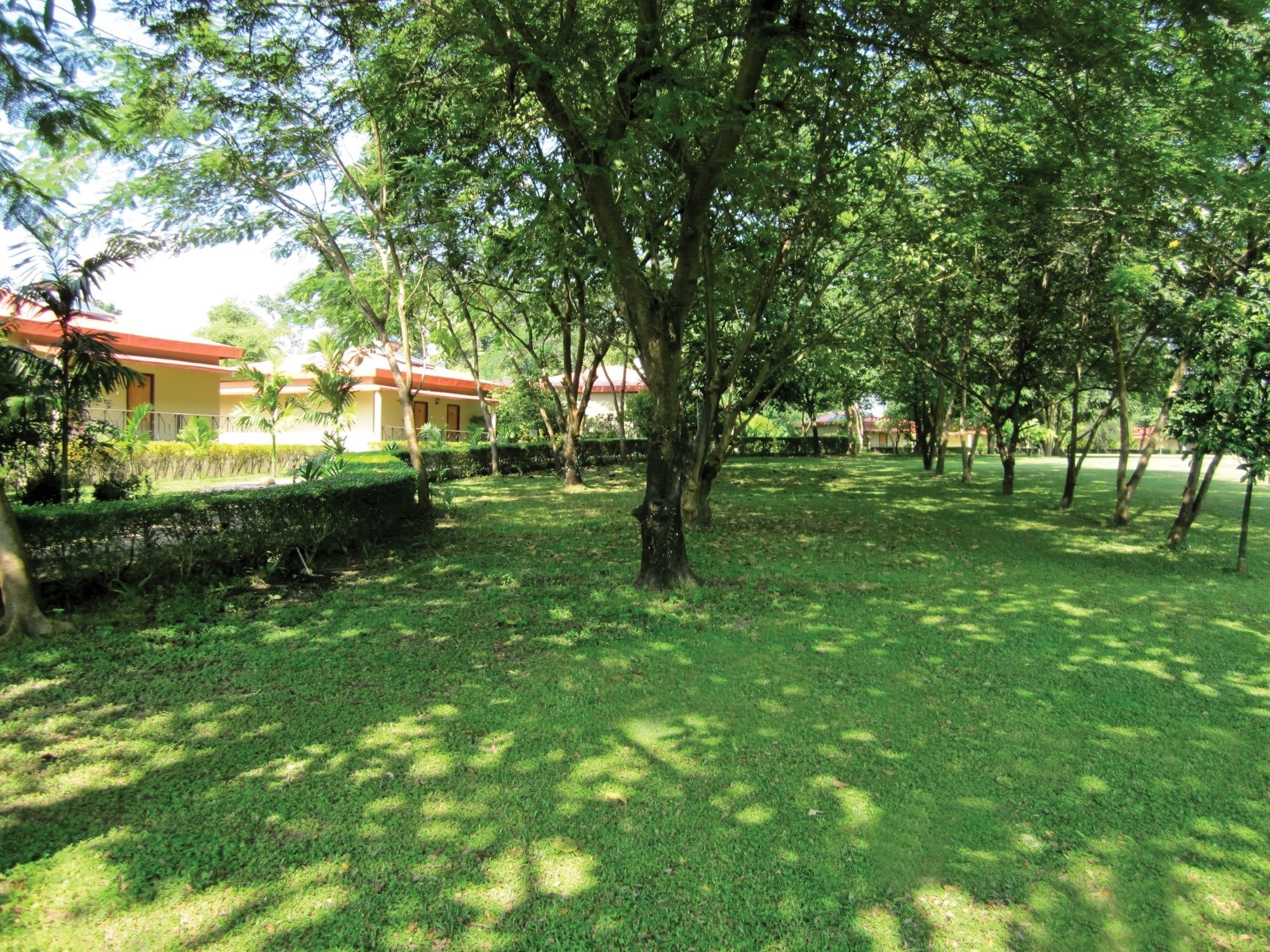 Sinclairs Retreat Dooars, Chalsa Hotel Ngoại thất bức ảnh